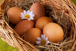 Курячі і перепелині яйця також потрібні в раціоні годуючої матері