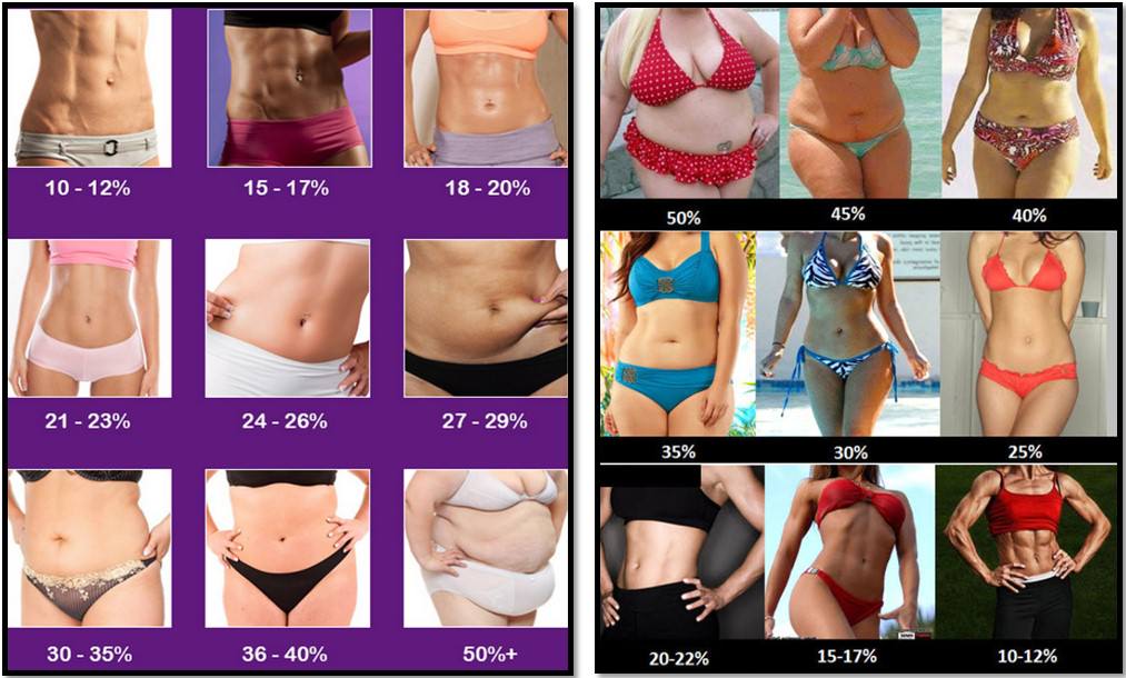Візуально оціните композицію тіла при різних відсотках рівня жиру