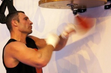 17 серпня 2011, 11:58 Переглядів:   Віталій Кличко готується до бою 10 вересня протв Адамека