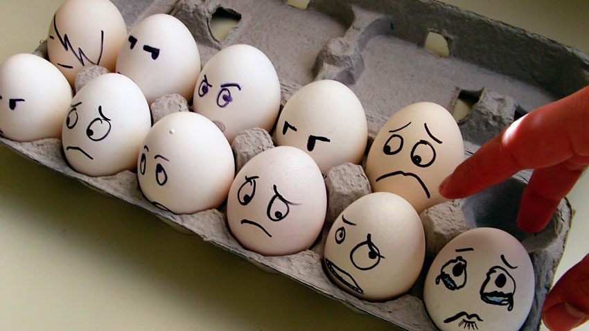 Як правильно вибирати яйця