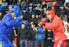 У минулі вихідні вперше в Миколаєві пройшов Всеукраїнський турнір з бойового самбо в пам'ять про визволителів міста - 68 героїв-десантників