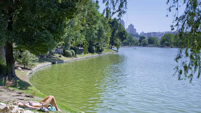 Найбільший публічний парк Мадрида, що включає декількох зелених зон