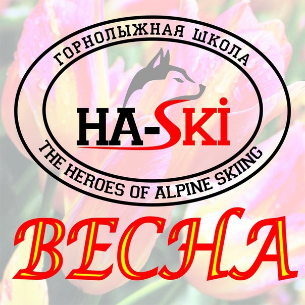 Дитяча гірськолижна школа «ha ski»