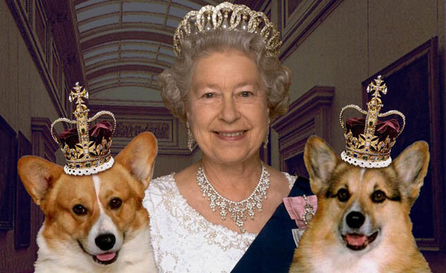 Адже собачки коргі королеви Єлизавети II вже скучили по своїй території