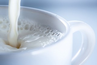 У молоці тваринного походження багато корисних жирів і кальцію, тому воно вважається   здоровою їжею   для людини