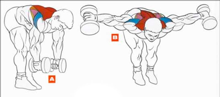 Вправа для м'язів плечового пояса і задніх пучків дельт